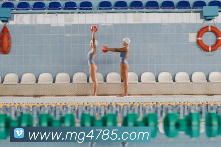 MG娱乐平台官网平台生态图