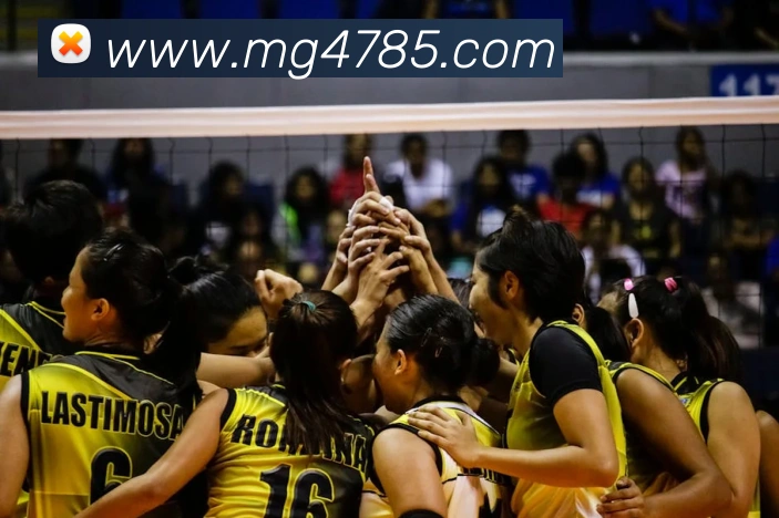 MG娱乐平台官网APP 封面图